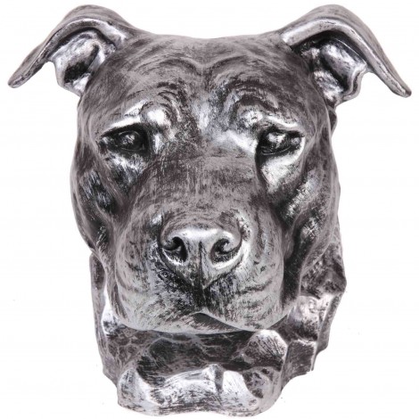 Statue argent tête de chien en résine pitbull staff américain oreil
