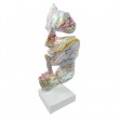 Statue en résine sur socle visage de femme multicolore splash fond blanc le signe du silence 43 cm