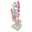 Statue en résine sur socle visage de femme multicolore sur fond blanc le signe du silence 64 cm