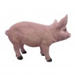 Statue en résine cochon rose nature tête droite 63 cm