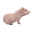 Statue en résine cochon rose nature assis sur son postérieur 53 cm