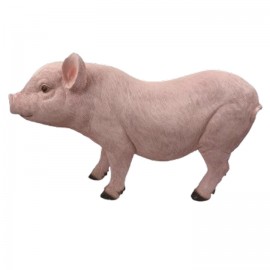 Statue en résine cochon rose nature dos creusé tête droite 60 cm