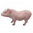 Statue en résine cochon rose nature dos creusé tête droite 60 cm