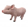 Statue en résine cochon rose nature dos creusé tête droite 60 cm