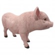 Statue en résine cochon rose nature dos creusé tête droite 60 cm