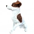 Statue jack Russell en résine blanc et marron 32 cm